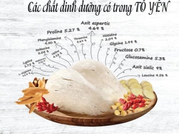 Các Dinh Dưỡng Có Trong Tổ Yến